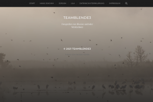 Neu im Web: TeamBlende 3