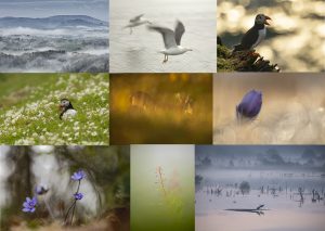 Ausstellung: Naturfotografie im Dialog