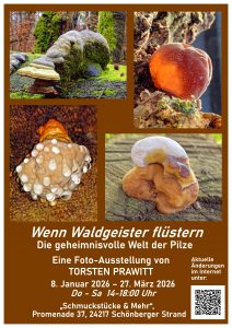 Foto-Ausstellung: Wenn Waldgeister flüstern